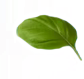 Floating Item